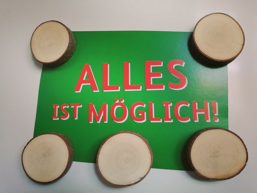 Magnete ahorn baum - baum, küche